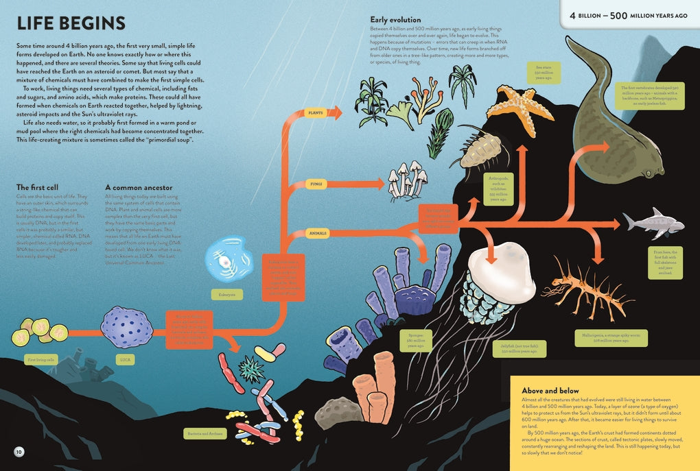 The History of Everything in 32 Pages by Anna Claybourne, Jan Van Der Veken