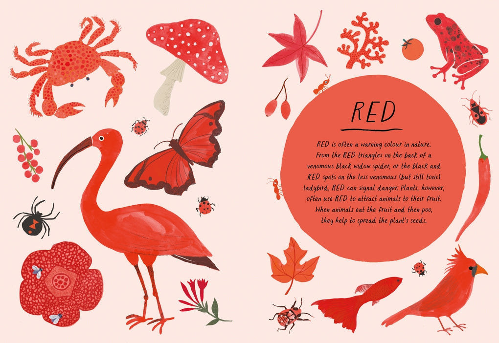 Drawn By Nature: Colours by Emily Rand