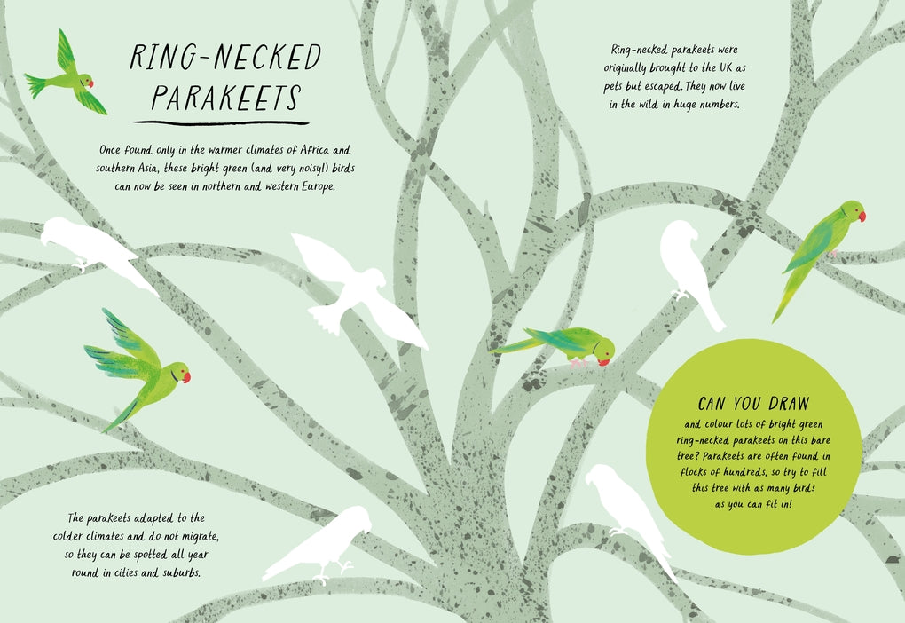 Drawn By Nature: Colours by Emily Rand