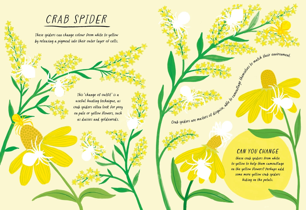 Drawn By Nature: Colours by Emily Rand