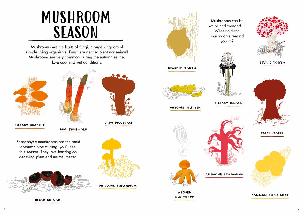 Hello Autumn by Nina Chakrabarti