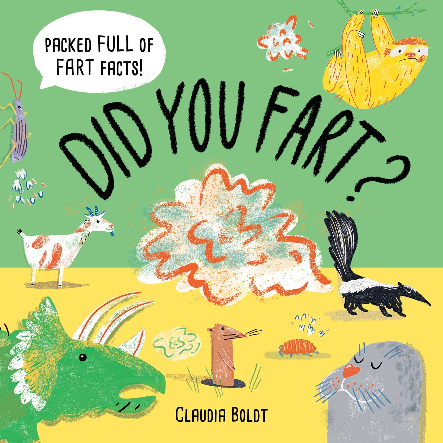 Early years: first experiences