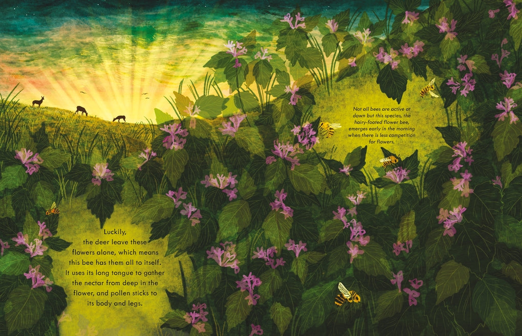 A Walk at Dawn by Alice Hemming, Elin Manon