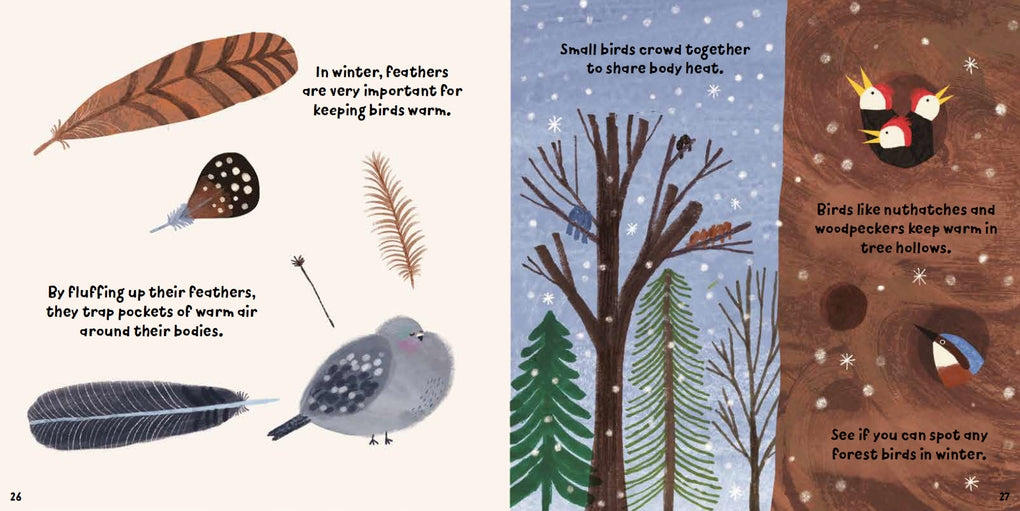 Forest Fun: Birds in the Trees by Susie Williams, Hannah Tolson