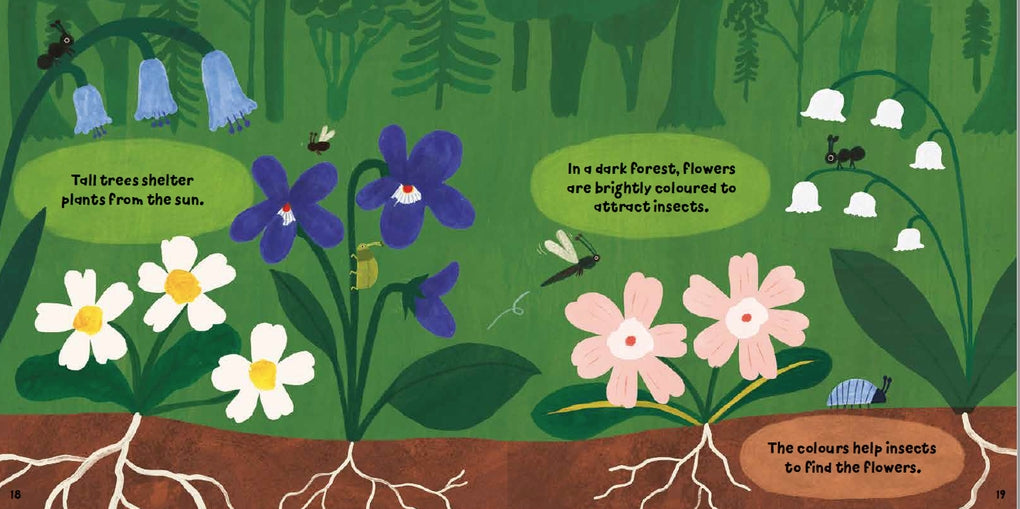 Forest Fun: Insects in the Flowers by Susie Williams, Hannah Tolson
