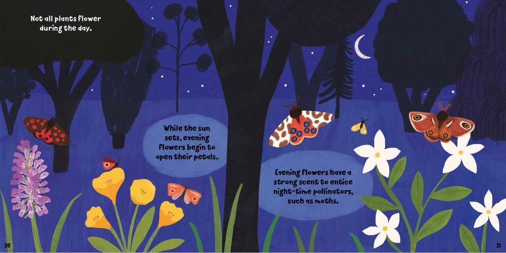 Forest Fun: Insects in the Flowers by Susie Williams, Hannah Tolson