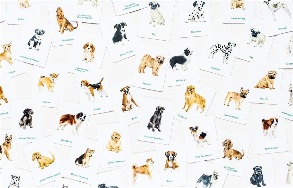 Dogs & Puppies by Emma Aguado, Marcel George, Battersea Dogs & Cats Home