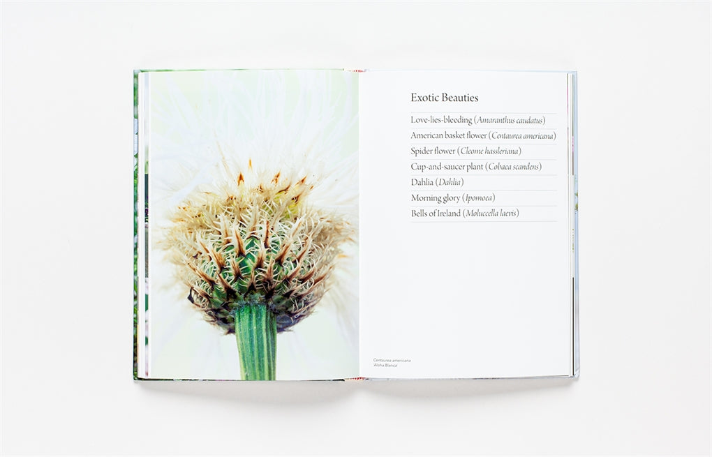 The Flower Garden by Clare Foster, Sabina Rüber