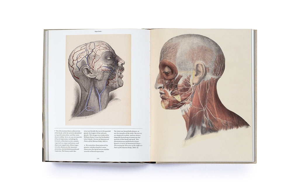 Anatomica by Joanna Ebenstein