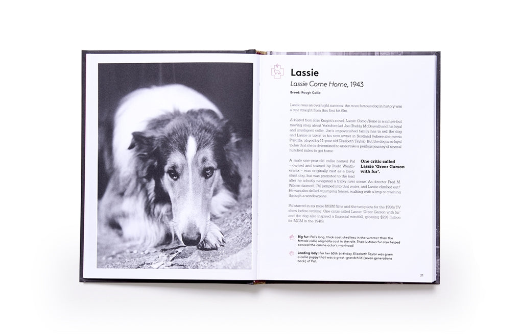 Citizen Canine by Wendy Mitchell