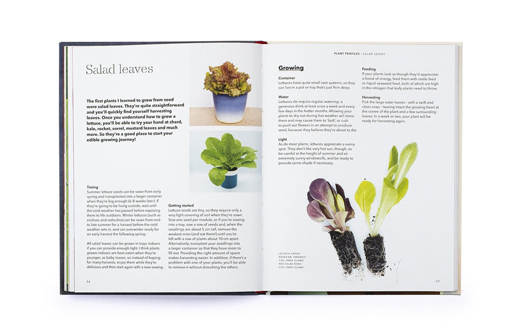 How to Grow Your Dinner by Claire Ratinon