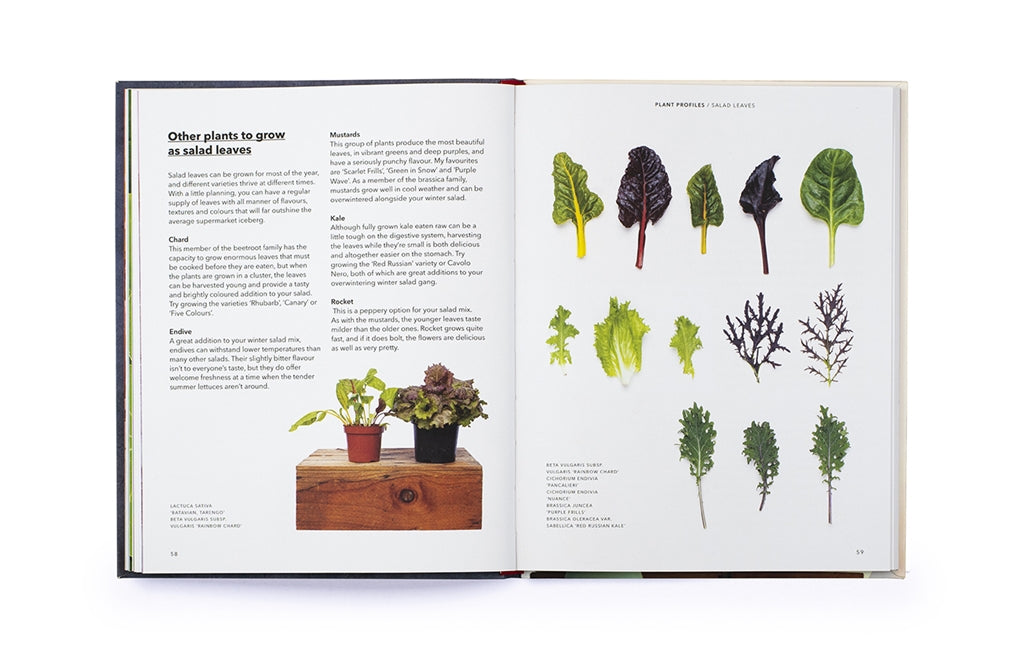 How to Grow Your Dinner by Claire Ratinon