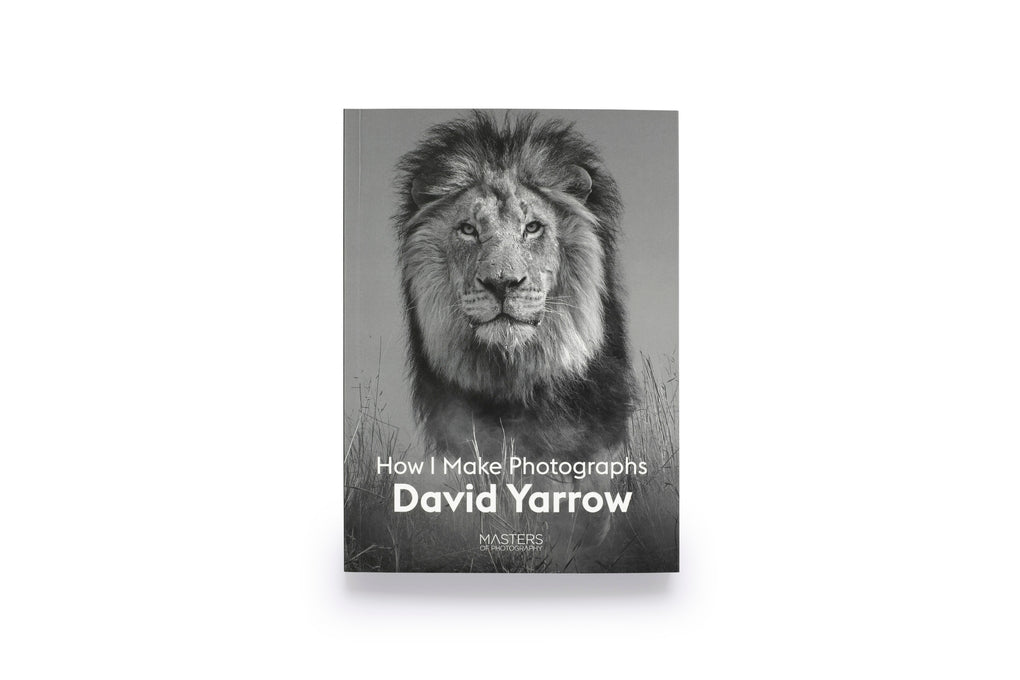 David Yarrow by David Yarrow