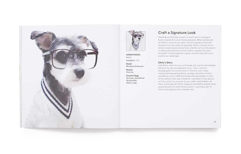 How To Make Your Dog #Famous by Loni Edwards