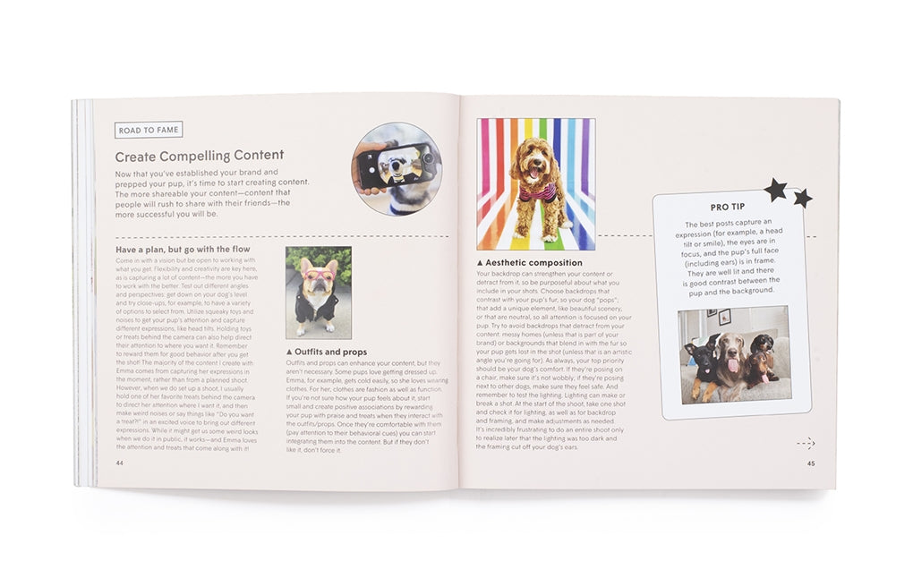 How To Make Your Dog #Famous by Loni Edwards