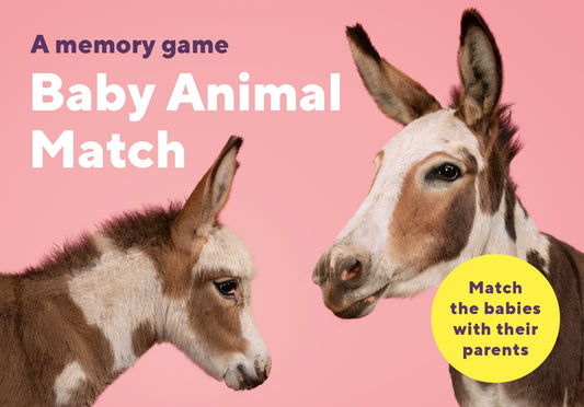 Baby Animal Match by Gerrard Gethings