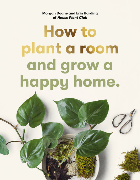 How to plant a room by Morgan Doane, Erin Harding