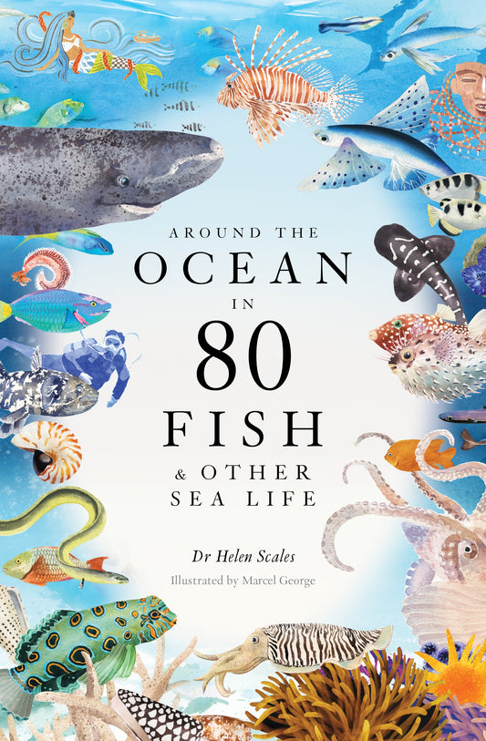 Around the Ocean in 80 Fish and other Sea Life by Helen Scales, Marcel George