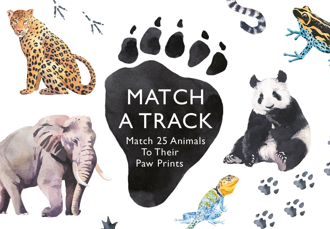 Match a Track by Laurence King Publishing