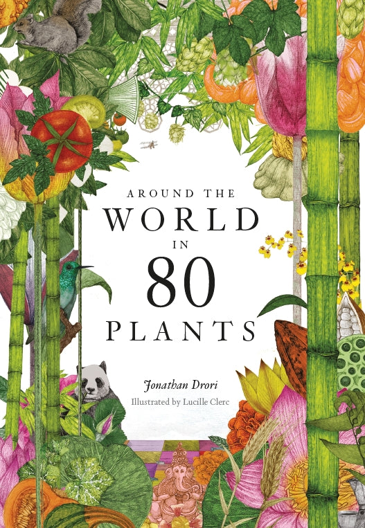 Around the World in 80 Plants by Jonathan Drori, Lucille Clerc