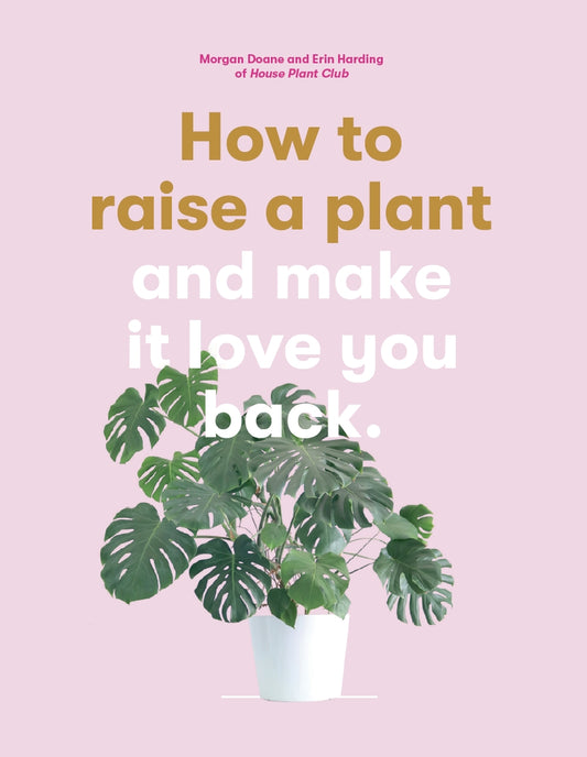 How to Raise a Plant by Morgan Doane, Erin Harding