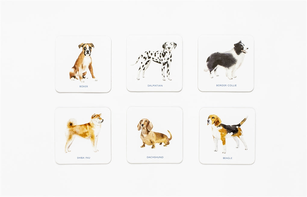 Dog Coasters by Laurence King Publishing