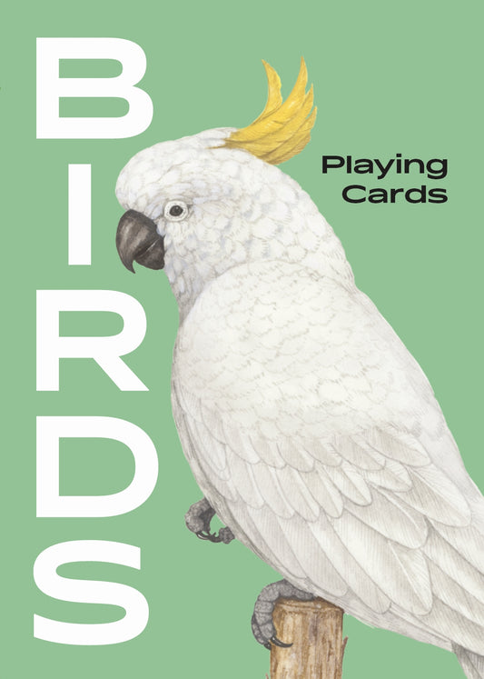 Birds by Ryuto Miyake, Laurence King Publishing