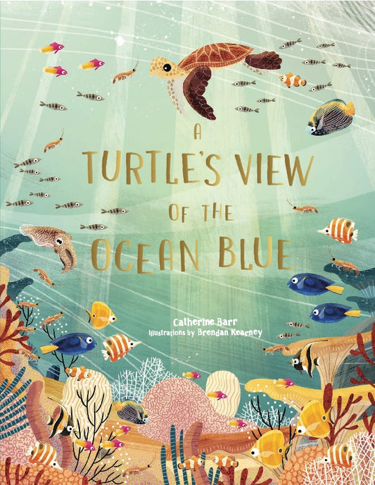 A Turtle's View of the Ocean Blue by Catherine Barr, Brendan Kearney