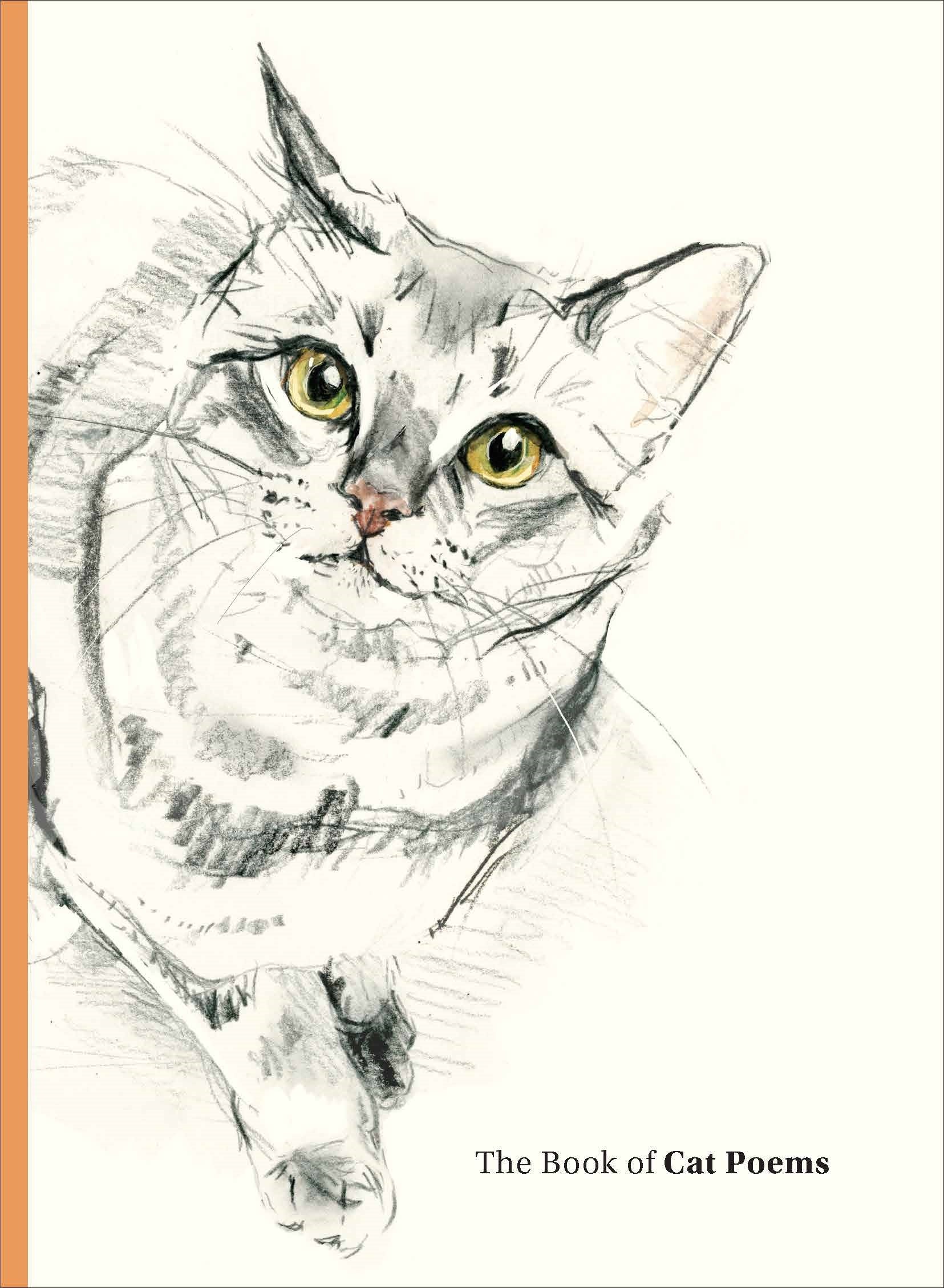 The Book of Cat Poems by Sarah Maycock, Ana Sampson