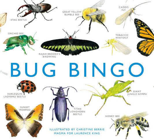 Bug Bingo by Laurence King Publishing