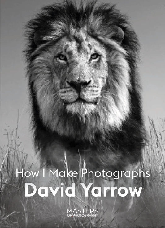 David Yarrow by David Yarrow