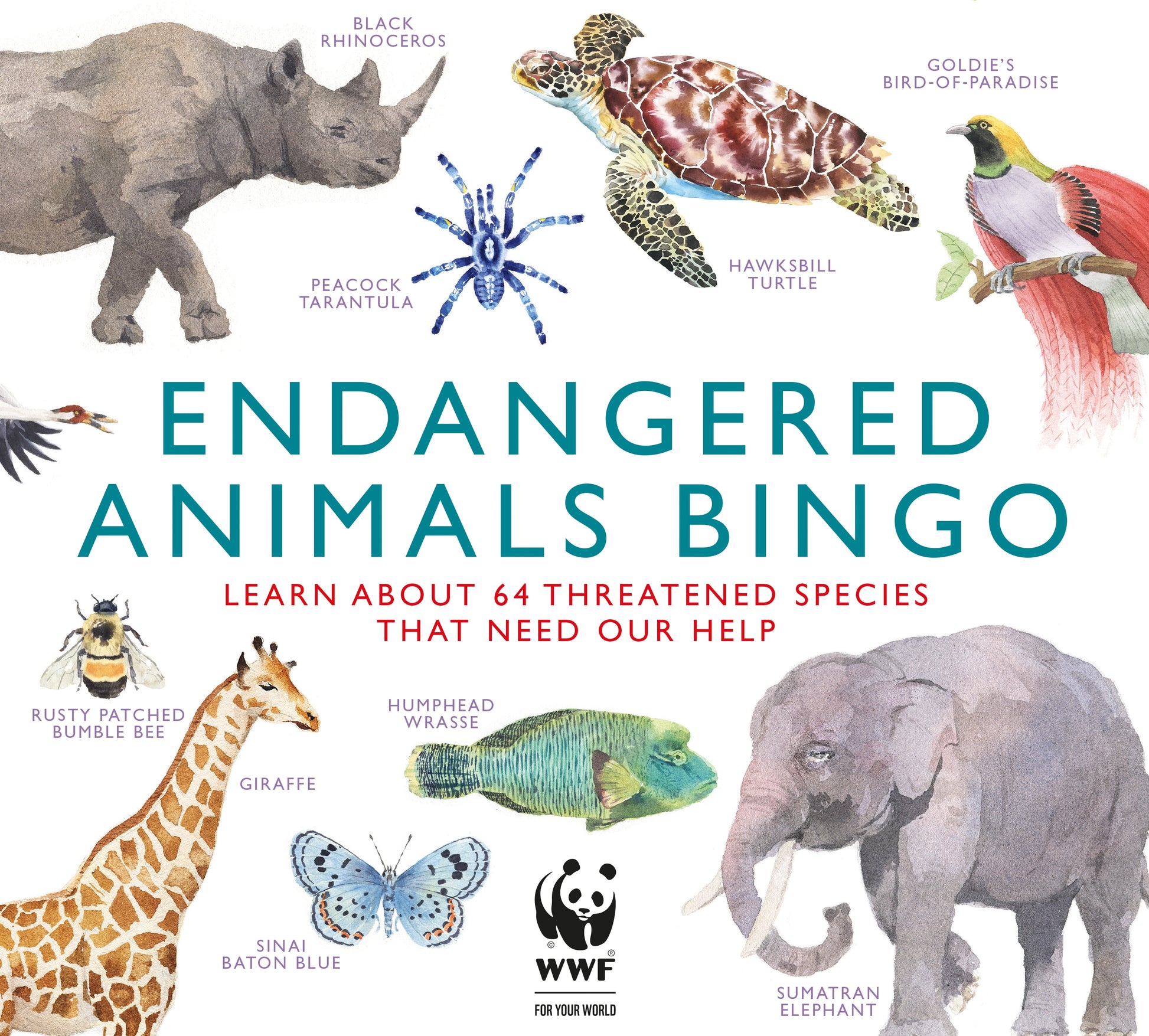 Endangered Animals Bingo by Marcel George, Magma Publishing Ltd